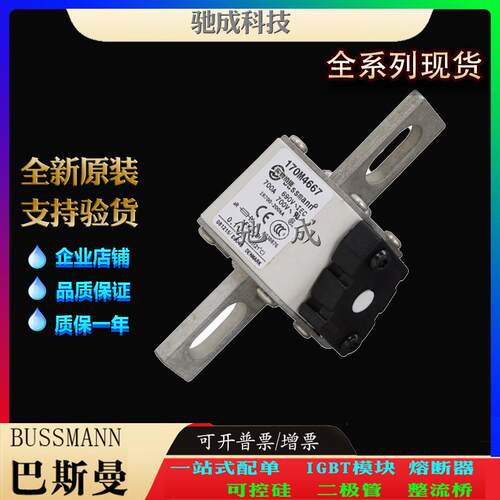 巴斯曼170M4619 170M4656 170M4658 销售供应销售价优 方体熔断器