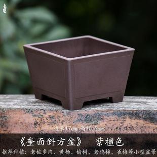 树脂花盆三角梅花盆盆栽仿紫砂陶瓷多兰花方形塑料花盆专用盆景盆