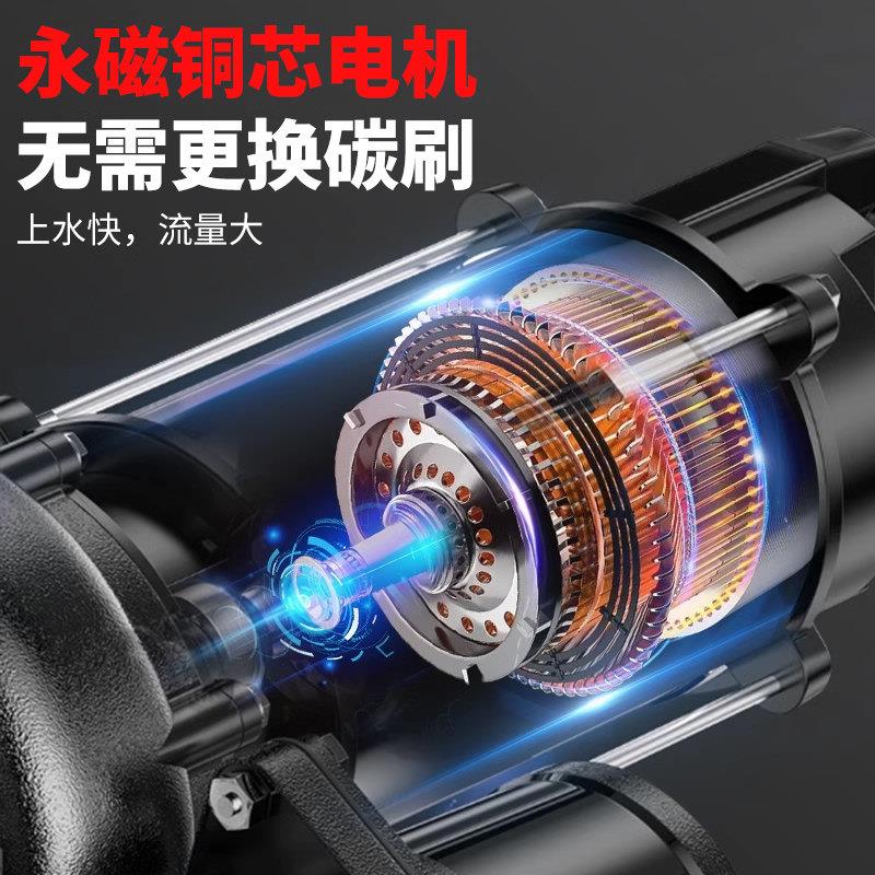 直流无刷水泵家用电动电车12V24V48潜-72V高扬水程农用灌溉抽动机