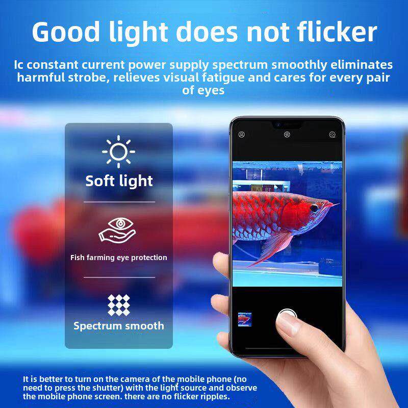 快速龙鱼灯红龙发彩灯罗涵鹦鹉雷龙锦鲤亮灯Led防水鱼缸灯