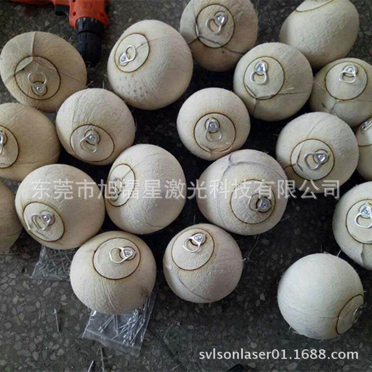 专业切椰王易拉环开口激光切割机 红椰金椰火烧椰皇半切激光机厂