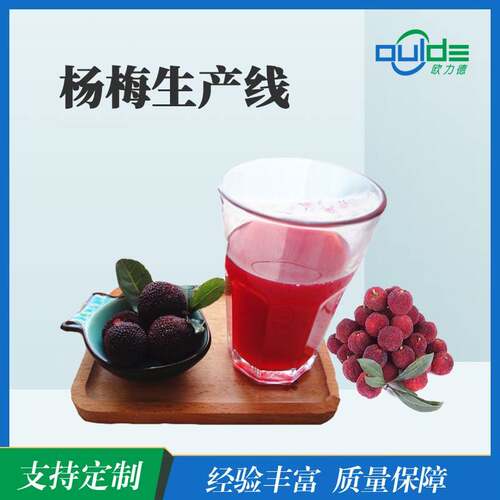 全自动生产线 大小型果汁果酱饮料橙汁生产线 杨梅生产线 榨汁