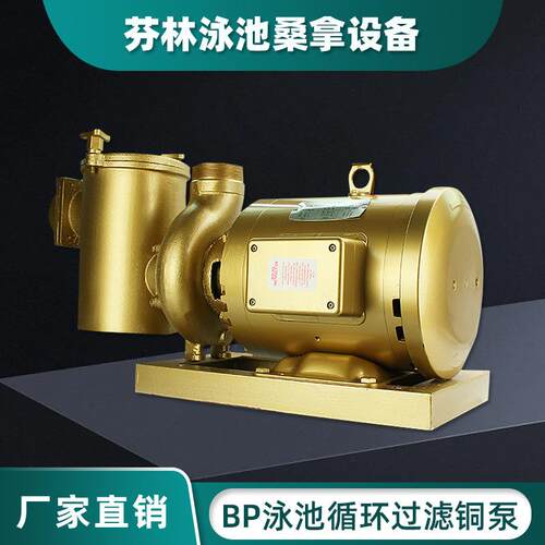 游泳池循环水泵BP铜泵带毛发过滤喷泉大流量水泵超强吸力吸污泵