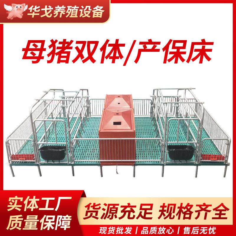 母猪产保一体双体体产床保育一体两用复合粪板加厚分娩母猪定位