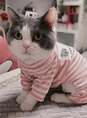 猫衣服四腿防脱落睡衣秋季英国短蓝色和白色布娃娃猫小猫宠物狗家