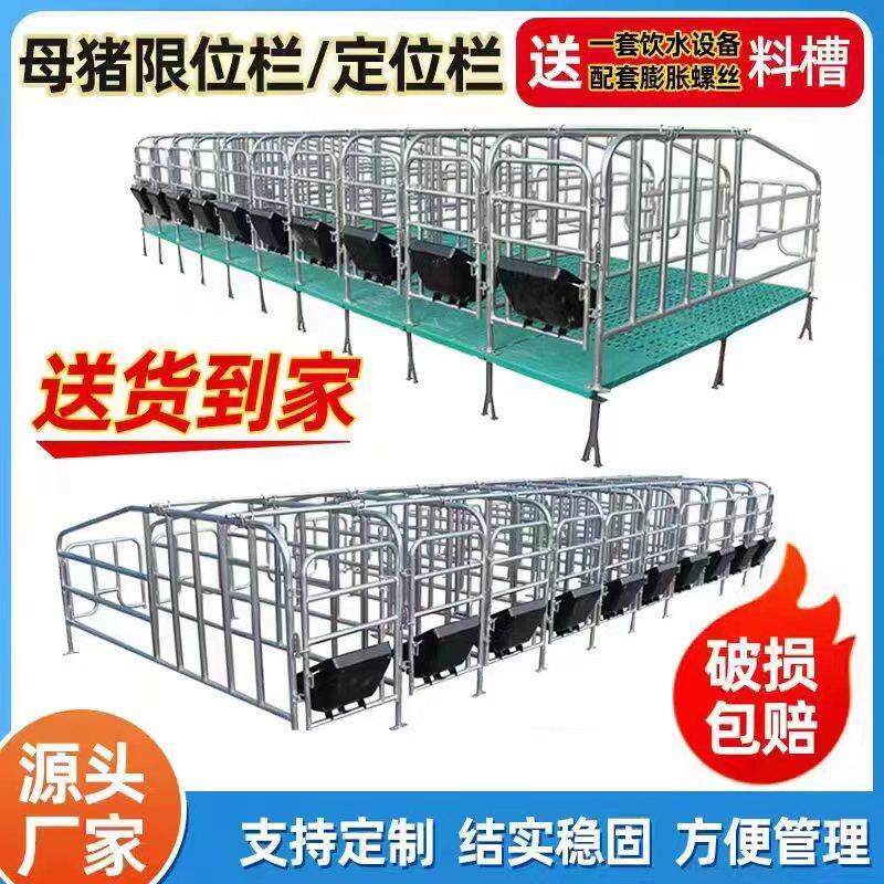 母猪定位栏猪用定位栏猪场养殖设备厚热浸镀锌母猪限位栏猪圈漏粪