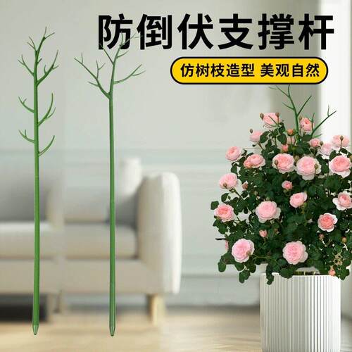 大型植物支撑杆防倒伏支架龟背竹支撑架园艺固定架花卉月季爬藤架