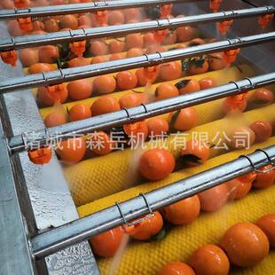 沃柑清洗打蜡机沙糖桔洗果选果机苹果清洗分级机柚子清洗机厂家