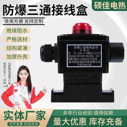 防爆三通接线盒T型接线盒电热带电缆配件带灯电源防爆三通接线盒