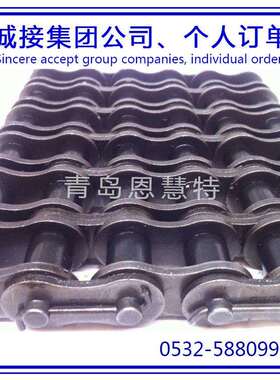 东华工业流水线链条24A-2 16A-2 20A-2短节距工业链条09