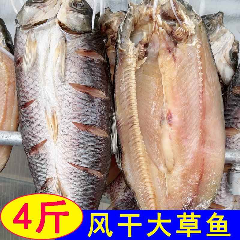 寿县腌制大草鱼风干咸鱼混子鱼日晒咸鱼淡水鱼类正宗腊鱼肉盐味