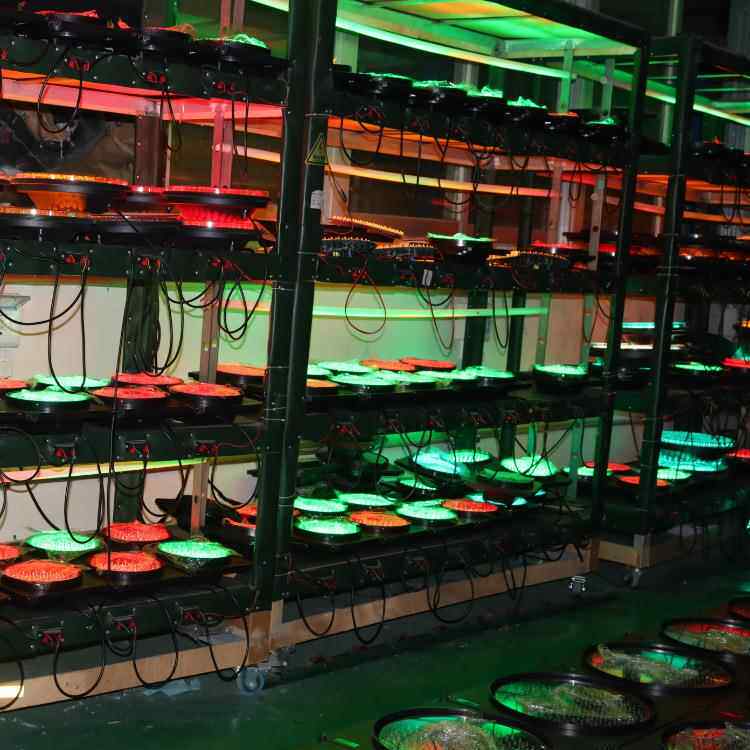 深圳厂灯家绿灯警示灯盘配件00型单红色双色交2WDM-C200通信号满