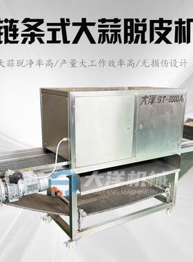 链条式大蒜脱皮机新款大蒜去皮设备剥蒜瓣机器不锈钢大蒜去皮机械
