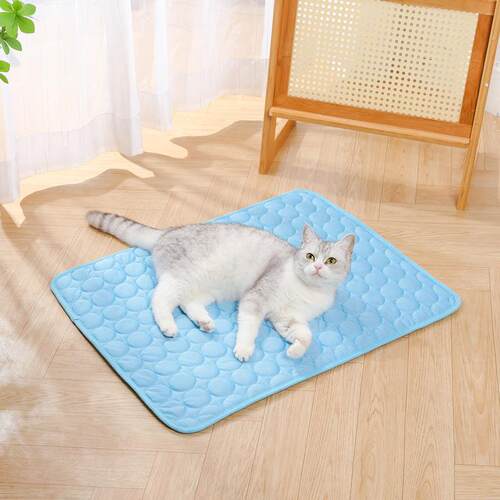 Summer Cooling Pet Ice Silk Pad Dog Sleeping Mat for Medium