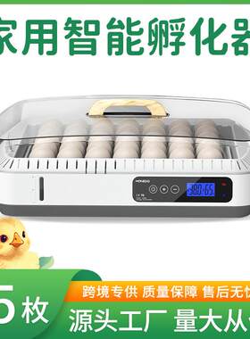 小鸡孵化器35枚家庭孵化设备家用款控湿控温可视上盖孵化