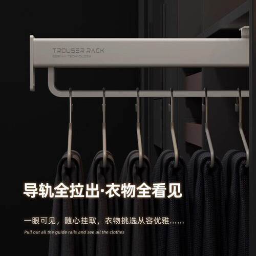 DTC东泰裤架伸缩滑轨抽拉衣物架衣柜内置裤架横杆侧装滑轨阻尼多