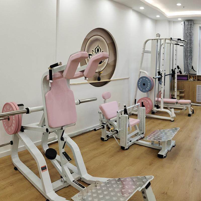 女子塑形器械全套商用哈克深蹲机臀桥机大腿内外侧高低拉背训练器