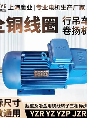 YZR160M1-65.5WYZR200L-6起重及冶金用绕线转子三相异步电动机