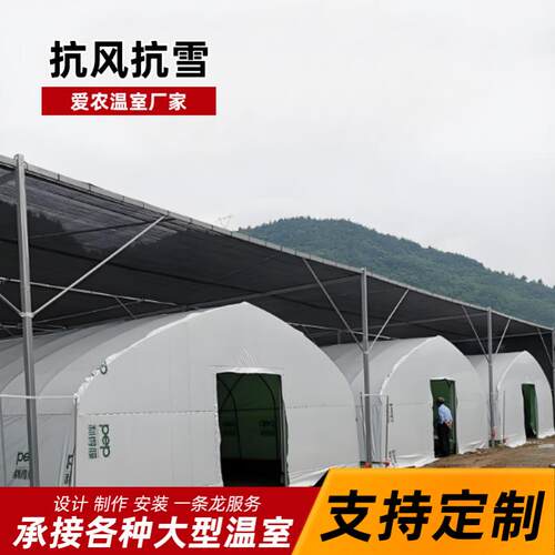 种植育苗菌菇羊肚菌蔬菜大棚冬暖夏凉养殖仓库通用棚配用全套厂家