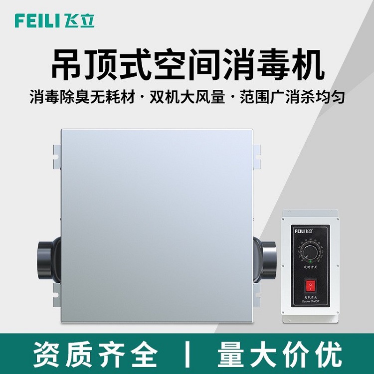 飞立档案室粮仓用空气消毒机 除霉菌除异味消毒悬挂式臭氧消毒机