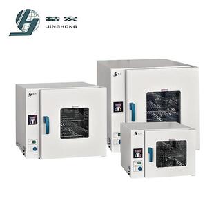 200℃烘箱DHG 9203A电热恒温鼓风干燥箱 9123A台式 DHG