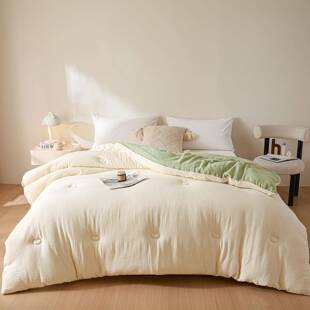 66698大纤豆被子冬被棉被芯被褥子学维豆生宿舍单人春秋被四季 通