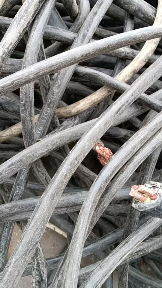 5月1日苏州市废旧杂铜芯线约420公斤左右网络拍卖公告