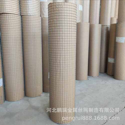 现货1.9cm孔热镀锌电焊养殖网墙体防裂电焊网铁丝网