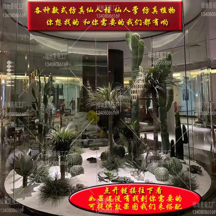 绿地景观仿真植物仙人掌仙人柱仙人球北欧植物热带多头摩洛哥造景