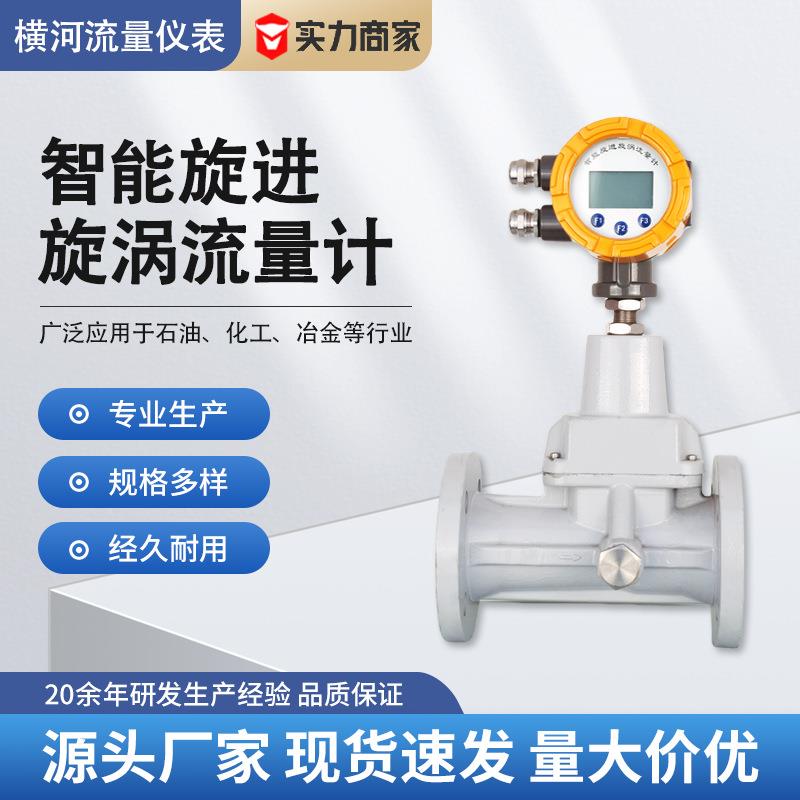 厂家智能旋进旋涡流量计压缩空气天然气双供电防爆智能流量计