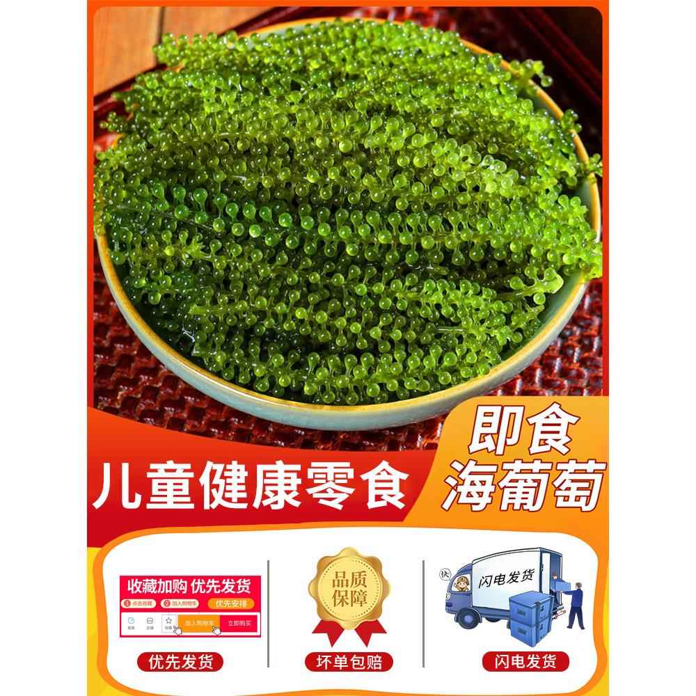 海葡萄即食儿童新鲜海草海藻商用压缩凉拌菜干货小孩吃的零食