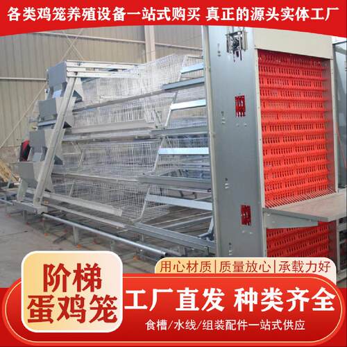 全自动化蛋鸡笼养殖场加背负式喂料机捡蛋机自动集蛋自动喂料系统