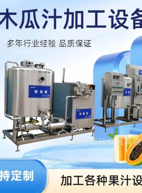 整套木瓜汁饮料生产设备沙棘深加工原浆设备青梅清洗去核机调配