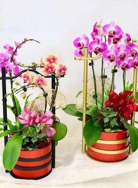 新中式冬青银柳蝴蝶兰年宵花插花盆铁艺轻奢花篮花器福盆福桶花桶