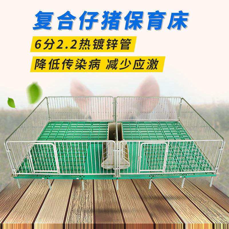 恒富机养猪械场双体保育床用猪保育床仔广西仔猪保育床出ZH211009