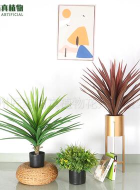 仿真绿植剑麻龙舌兰仿生热带沙漠植物剑兰橱窗装饰盆栽室内布造景