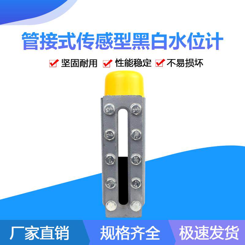 管接式感测型黑白水位计蒸汽产生器水位计液位计接管式电极水位计
