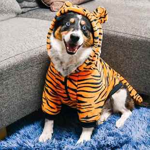 大狗狗衣服金毛秋冬装冬季拉布拉多中型大型犬搞笑老虎恐龙变身装