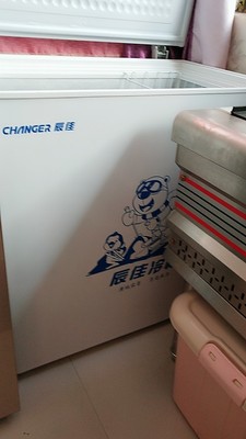 热点评论辰佳BC/BD(W)-175冰柜怎么样，分享下我的体验感受