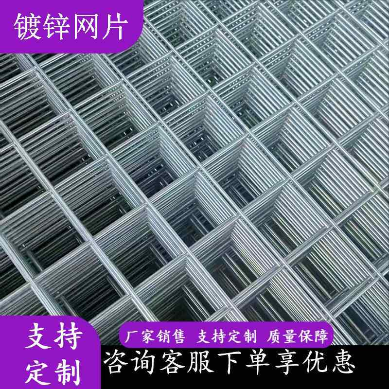现货笼子养殖网方格网片40mm围网养鸡铁丝网20mm镀锌网片