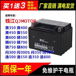 摩托车干电瓶钱江QJMOTOR闪300闪300S闪350闪500逸500逸550蓄电池