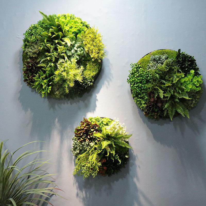 绿植壁挂植物墙背景墙电视墙样品房装饰软装青苔创意立体挂画 画