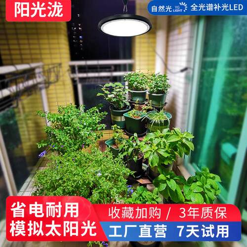 彷太阳光模拟灯全光谱植物补光灯阳台大棚养兰花卉月季植物生长灯
