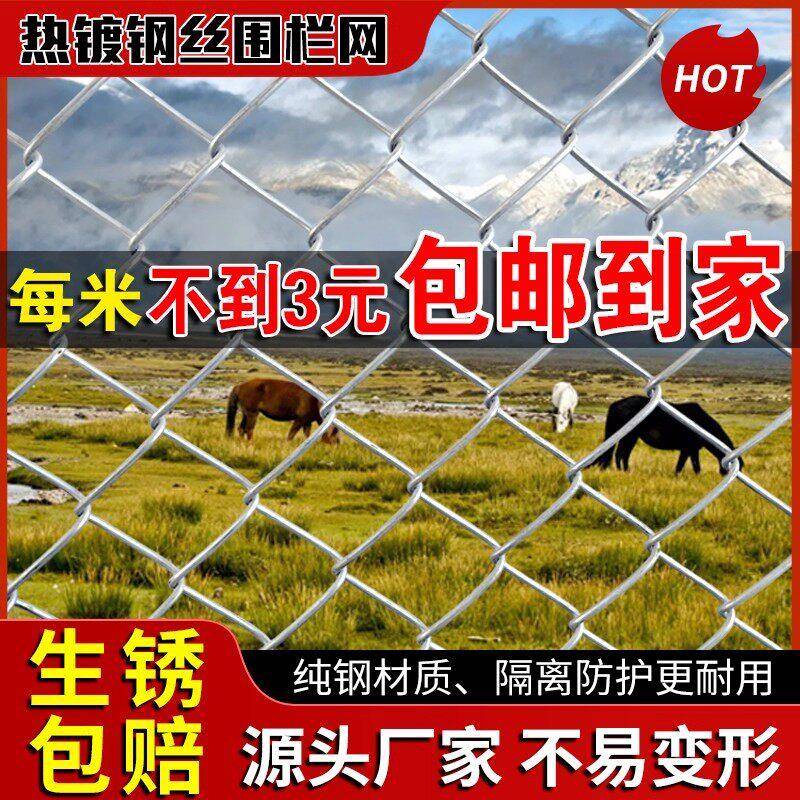 镀铁锌丝网围栏殖网鸡羊钢网果菜园铁网D格网勾丝养花网隔离防护