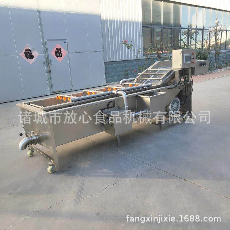 全自动荔枝气泡清洗机水果鼓泡清洗机果蔬气泡喷淋清洗设备