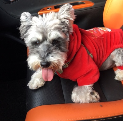 Garmin佳明fenix5X Plus怎么样,为何便宜,原因内幕分享