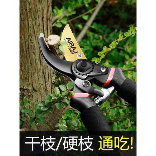 新款修枝剪-园艺剪刀剪树枝专用剪刀园林修剪果树修枝花艺修花剪
