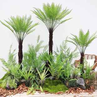 仿真植物大型新西兰银蕨热带仿真树景观商场橱窗落地装 饰绿植造景