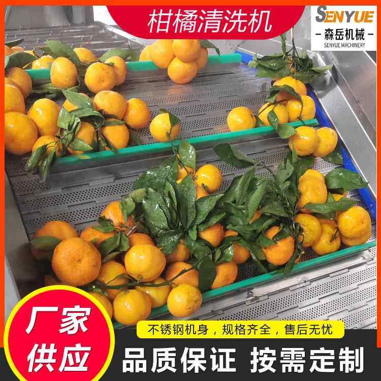 工厂用果蔬气泡清洗机杏干气泡清洗风干线果脯鼓泡翻浪清洗机设备,清洗/食品/商业设备,果蔬加工设备,淘宝优惠券,粉丝福利购,淘宝优惠卷