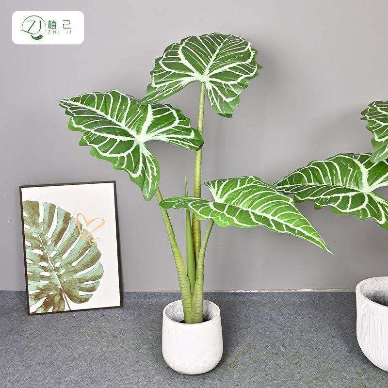 仿真绿植大叶帝王花烛家居客厅商场大型落地装饰植物盆景摆件树图片